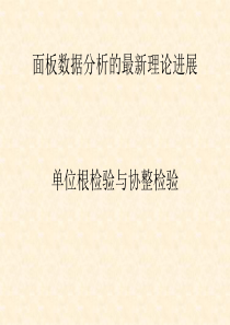 面板数据分析3[面板数据分析的最新理论进展]-单位根检验与协整检验