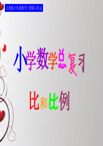 人教版六年级数学下册整理和复习比和比例