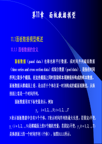 面板数据模型经典_PPT