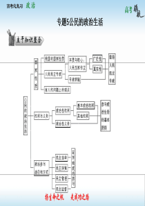 2013届高考政治人教版二轮复习课件专题5公民的政治生活