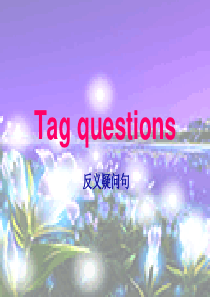 英语反义疑问句课件加练习