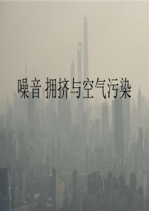 噪声、拥挤和空气污染