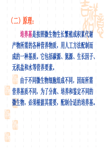 微生物实验培养基的制备和消毒灭菌农学