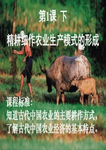 1、精耕细作农业生产模式的形成(下)