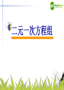 七年级数学下册_二元一次方程组课件_人教新课标版