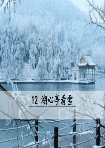 12 湖心亭看雪