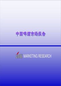 中国啤酒市场报告