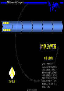 团队的智慧内部培训手册