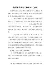 监理单位安全大检查活动方案
