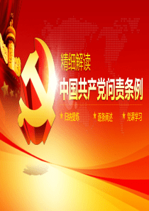 深度解读问责条例PPT