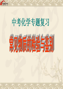 中考化学专题复习