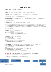网红赞助方案