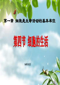 _细胞的生活ppt.