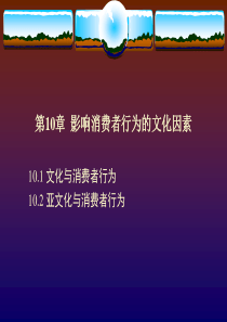 第10章 影响消费者行为的文化