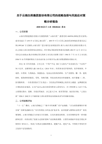 关于云南白药集团股份有限公司的战略选择与风险应对策略分析报告