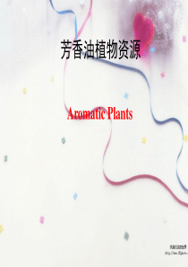 芳香植物资源