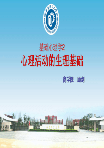 基础心理学2：心理活动的生理基础