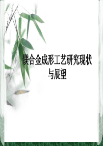 镁合金成型工艺小结