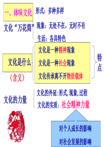 福建省晋江市首峰中学人教版高中政治课件 必修三1-2感受文化影响