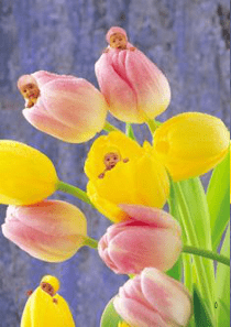 孕妇孕期心理健康讲座