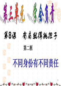 八年级政治不同身份有不同责任