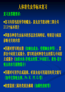 2008人体寄生虫标本复习(自动循环播放)