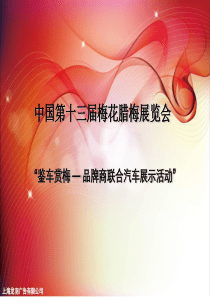 2011年第十三届双梅车展招商方案