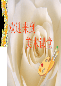 寻找美的踪迹