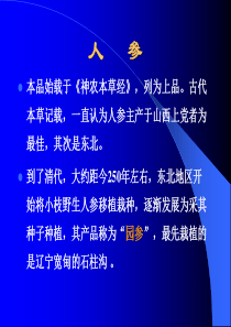 名贵中药鉴别――人参