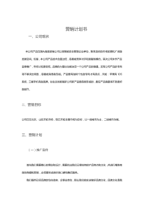 公司产品营销方案