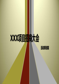 2014XXX项目招商大会活