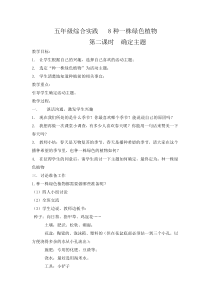 五年级综合实践   8种一株绿色植物