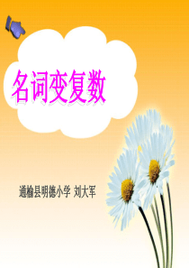 小学英语语法__名词变复数