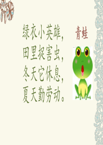 部编版一年级下册语文《小青蛙》