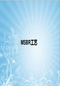 MSBR工艺