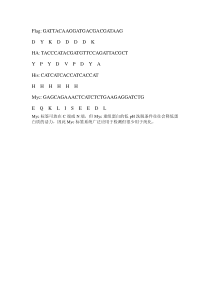 HA、Flag、Myc、His蛋白标签