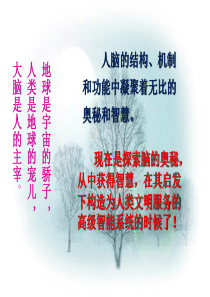神经网络算法入门【ppt】