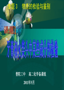 PTSZ《实验化学》专题3课题1牙膏和火柴头中某些成分的检验201105