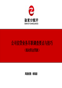 公司信贷业务尽职调查1