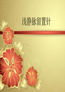 留置针-PPT(精)