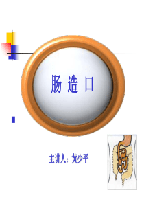 肠造瘘术