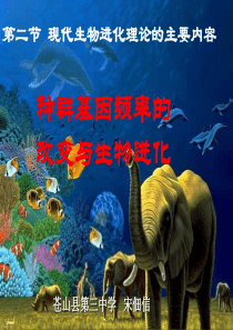 现代生物进划理论的主要内容.ppt