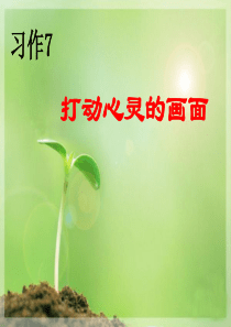 苏教版四年级语文上册习作7课件
