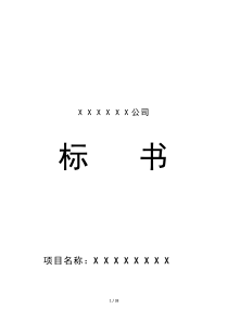 2019年XX公司投标书范本