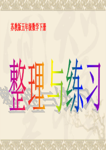 整理与复习(方程)