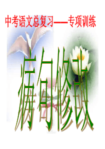 中考总复习病句修改