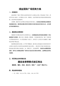 浦金国际广场招商方案20110615
