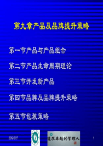 第九章产品及品牌提升策略
