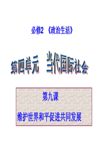 2013届高三第一轮复习课件《政治生活》：第九课__维护世界和平_促进共同发展