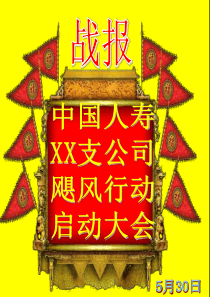 保险公司启动会专业流程